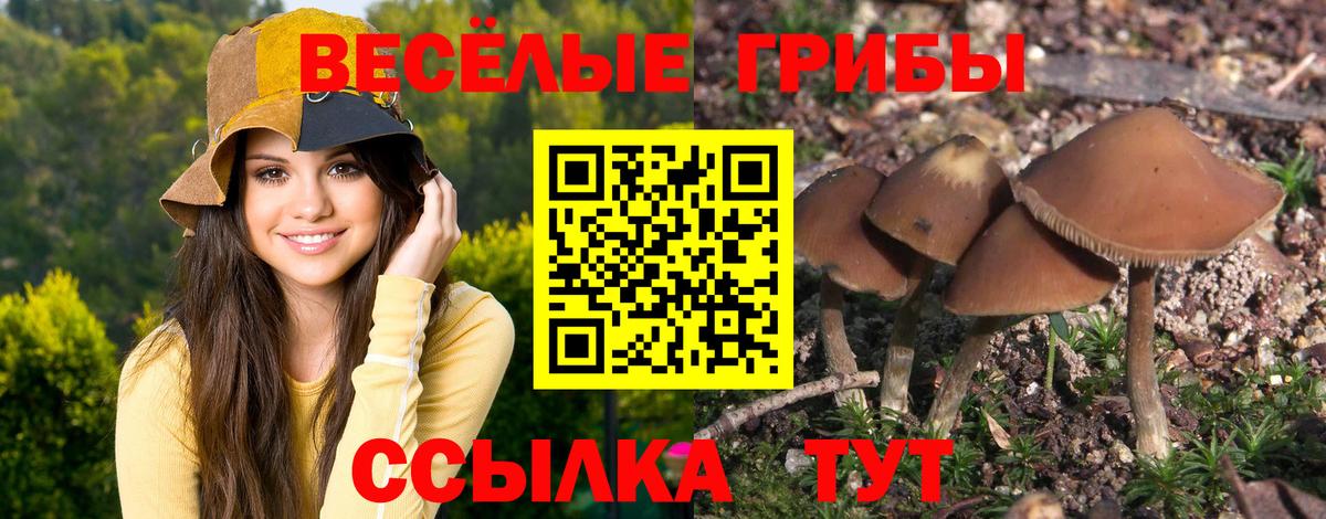 Галлюциногенные грибы мицелий Грозный