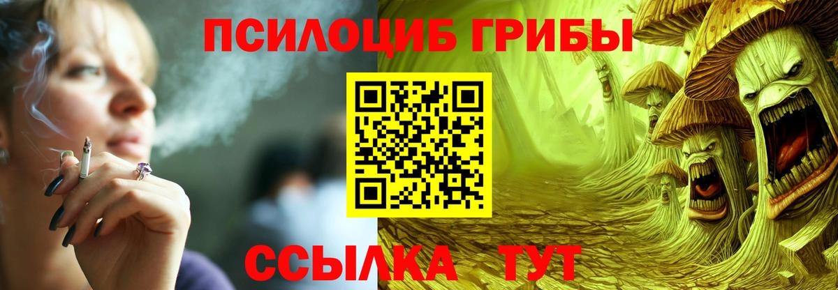 Грозный  Псилоцибиновые грибы GOLDEN TEACHER  Псилоцибиновые грибы Cubensis  Вход с VPN 